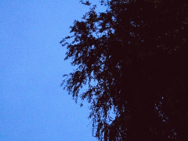 Almost Dark