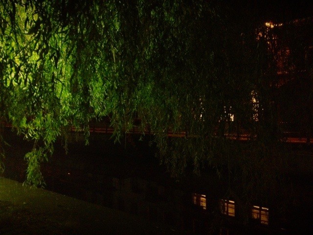 Near the Water