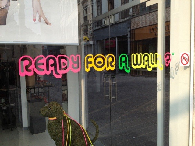 Ready for a Walk?