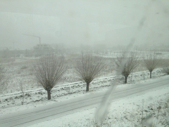 Snowy Landscape